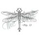 Meganeura Prehistoric Dragonfly tattoo