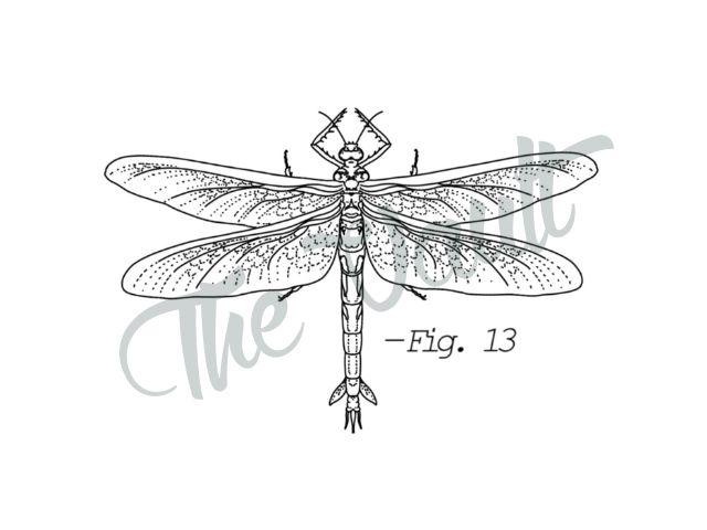 Meganeura Prehistoric Dragonfly tattoo